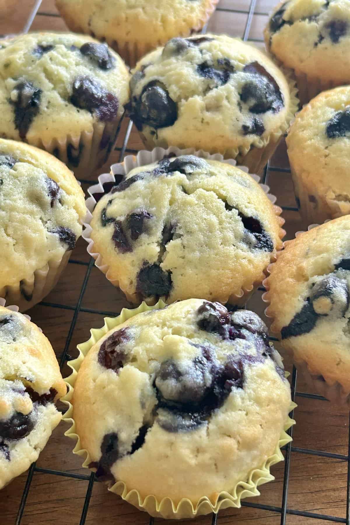 Baked lemon blueberry muffins on a wire rack to cool off