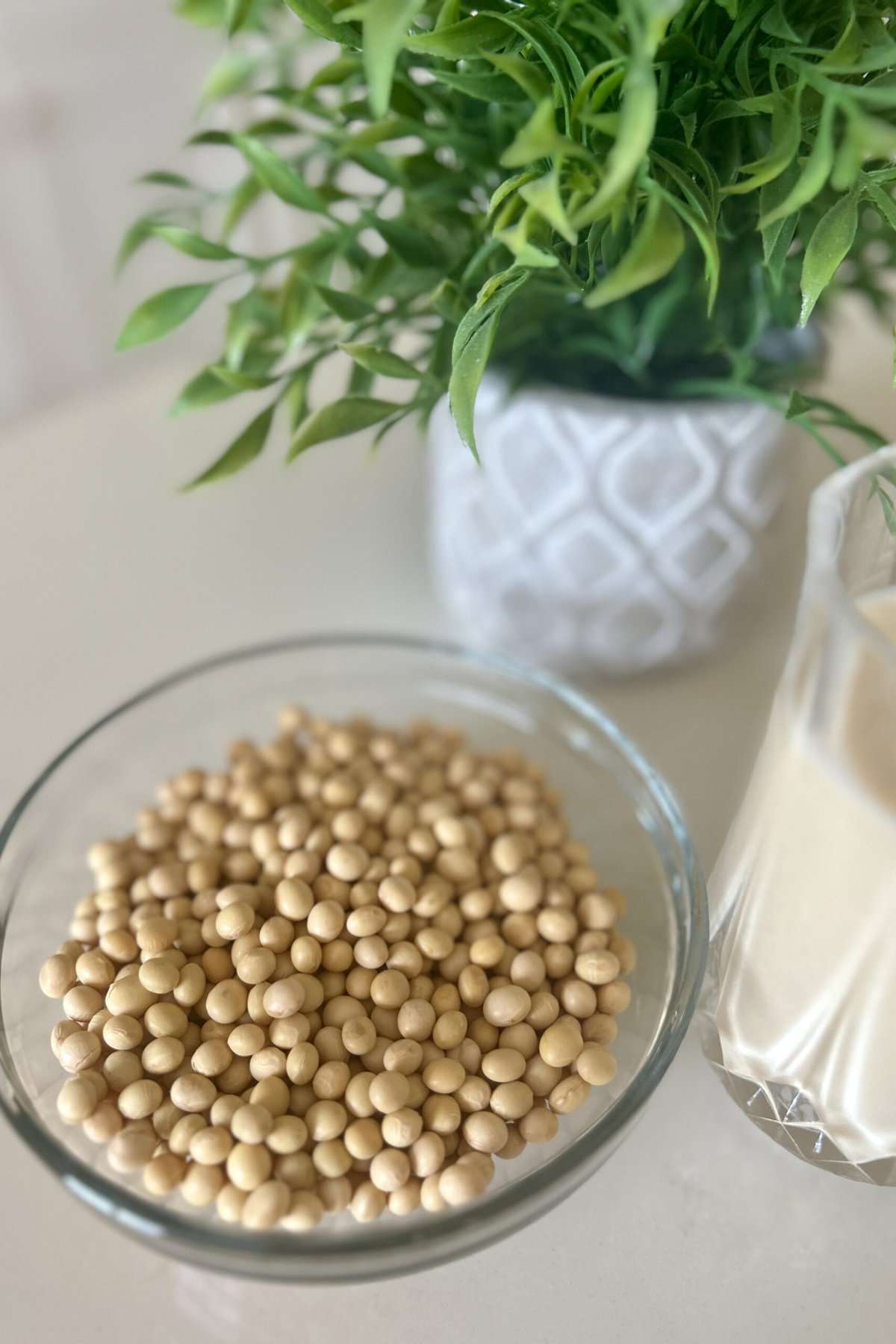 Dry soybeans in a glass bowl