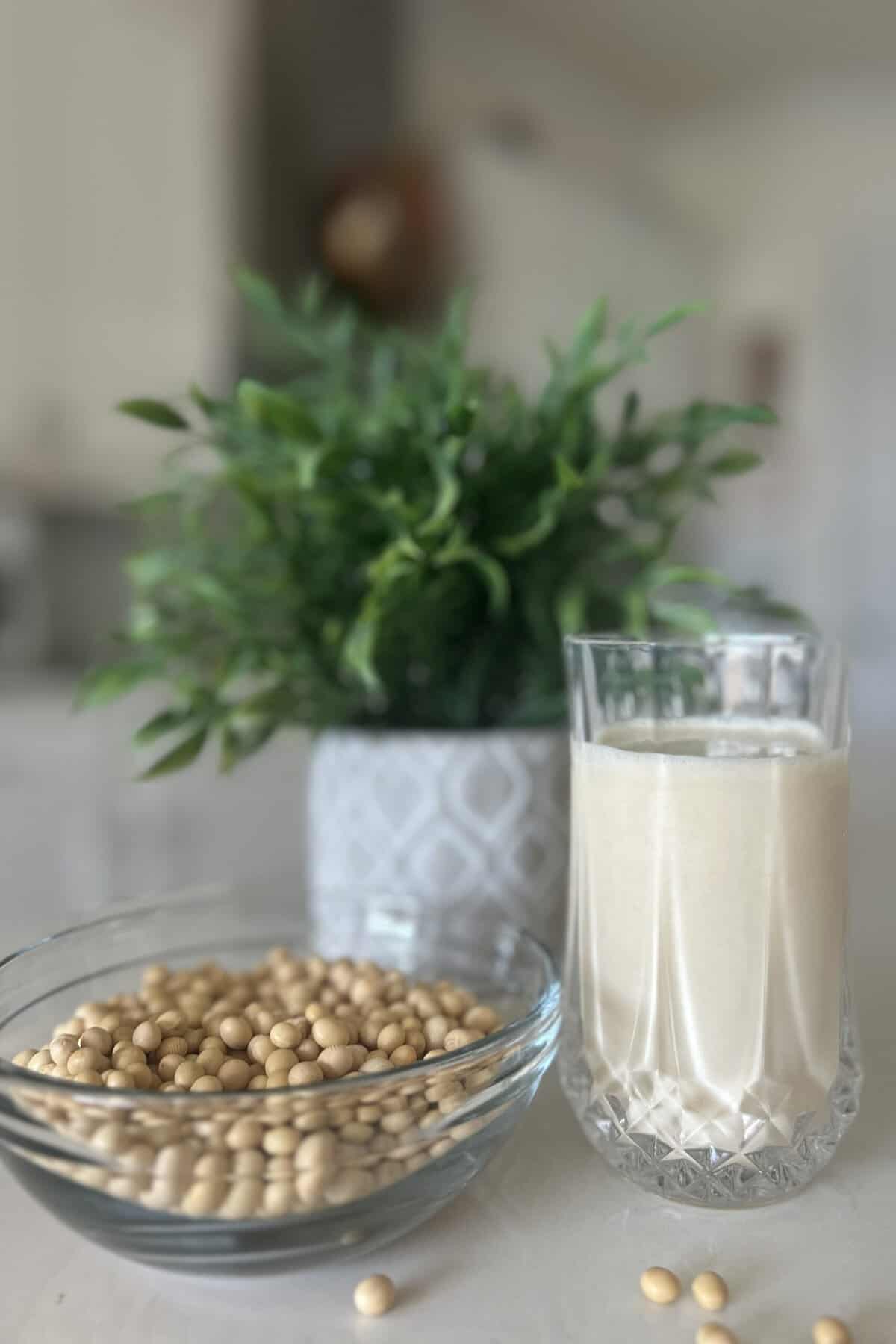 Soybeans in a glass bowl and soy milk in a glass