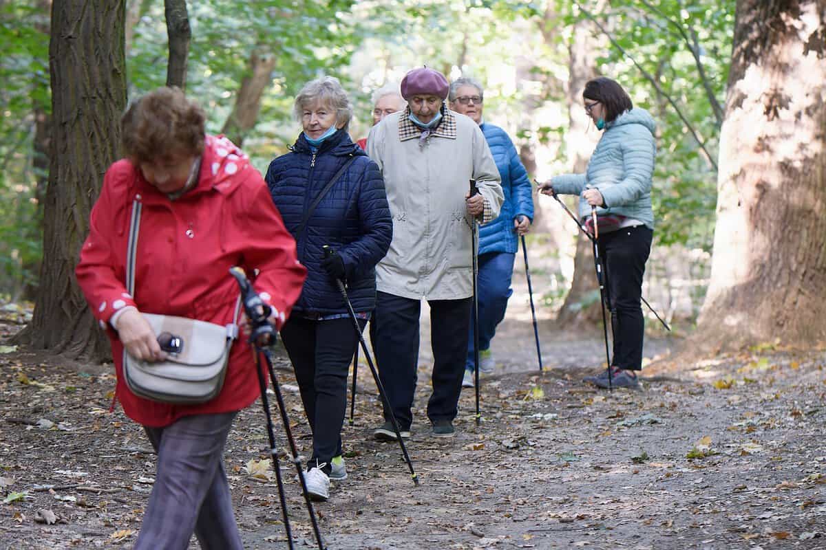 Five seniors in winter coats holding canes for a walk in a trail