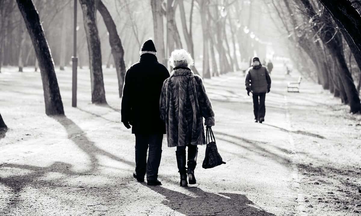 Older people/couple walking in the park in the winter